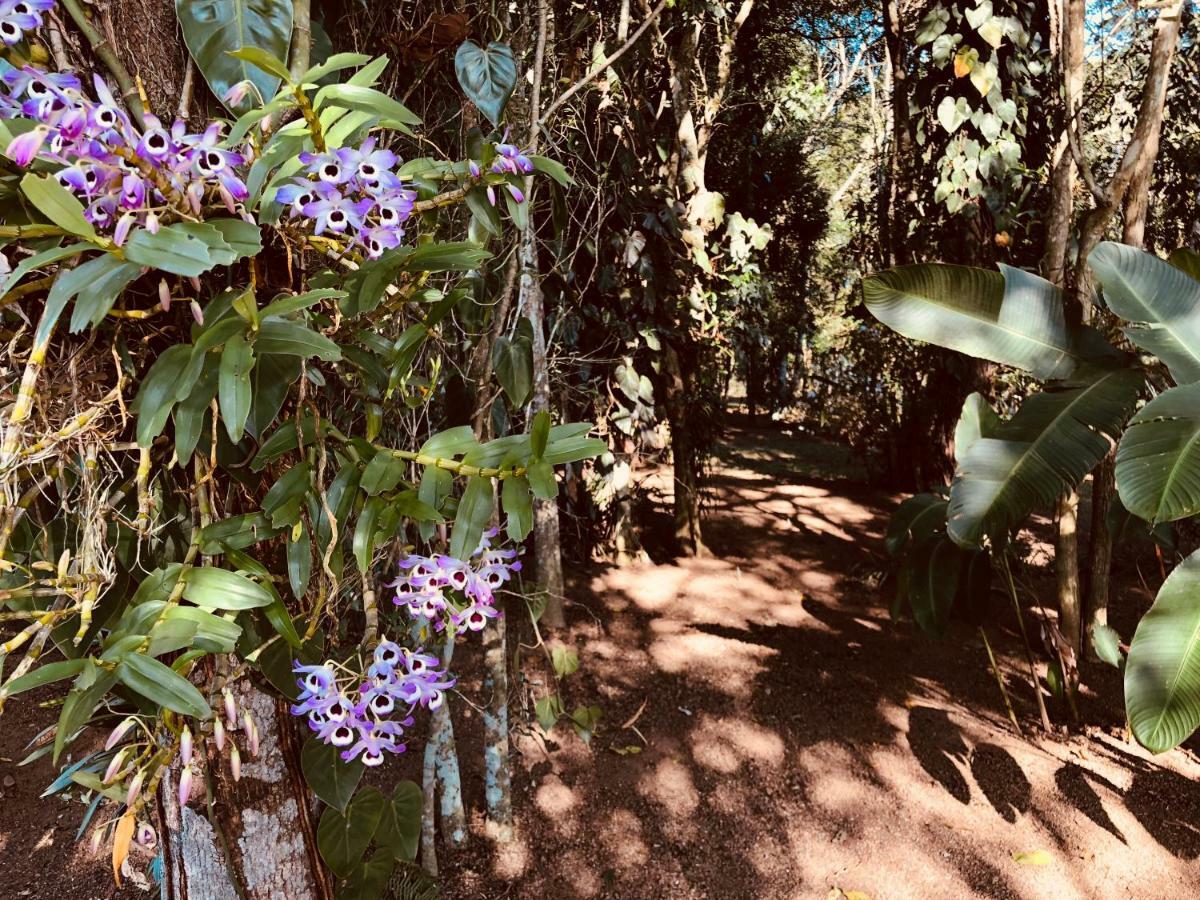 Chacara Quinta Dos Esquilos Villa Cotia  Kültér fotó