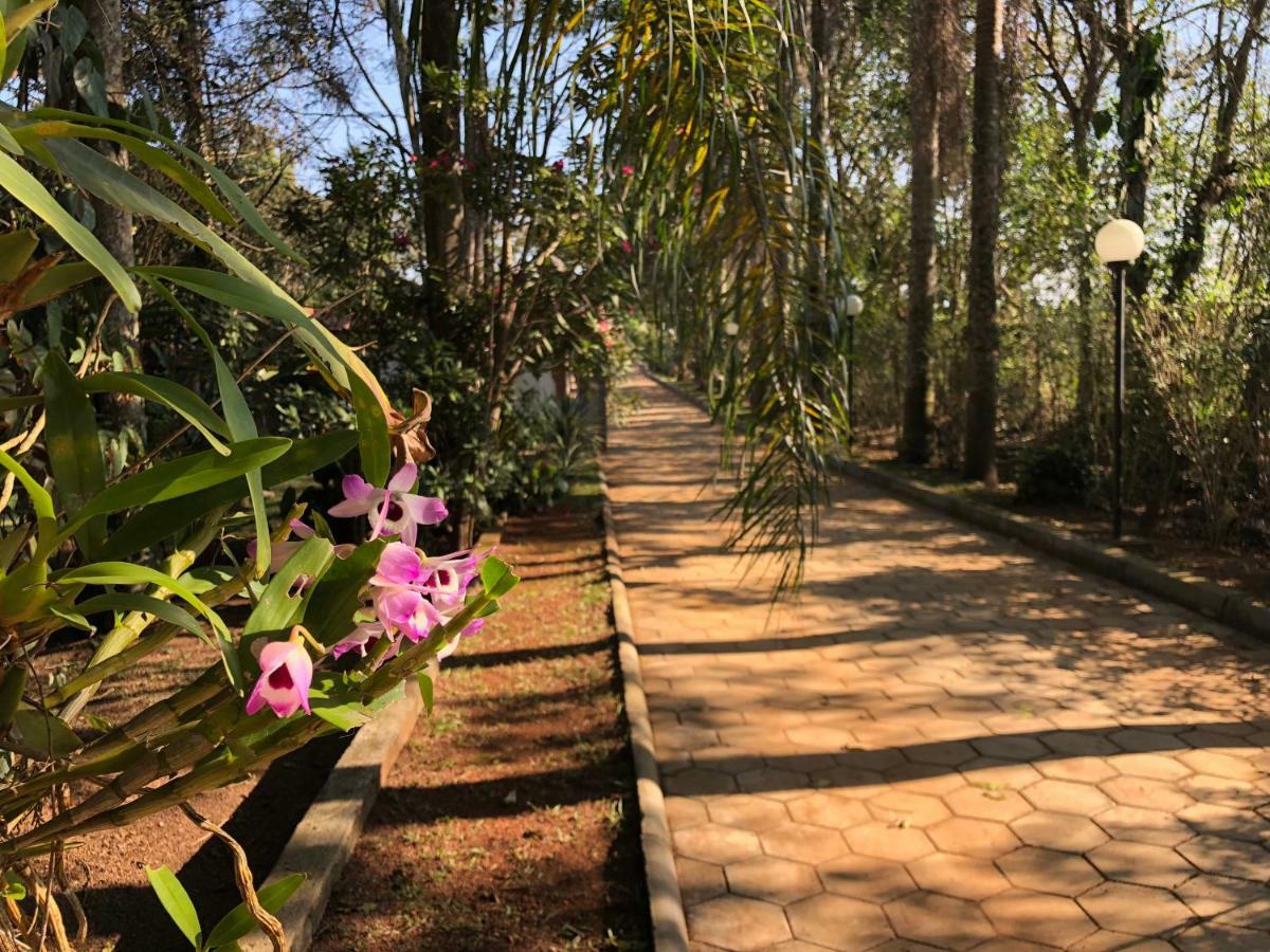 Chacara Quinta Dos Esquilos Villa Cotia  Kültér fotó